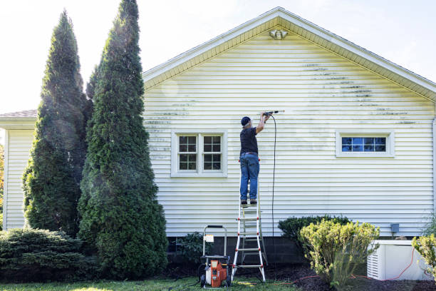 Best Spring Cleaning  in Denmark, WI